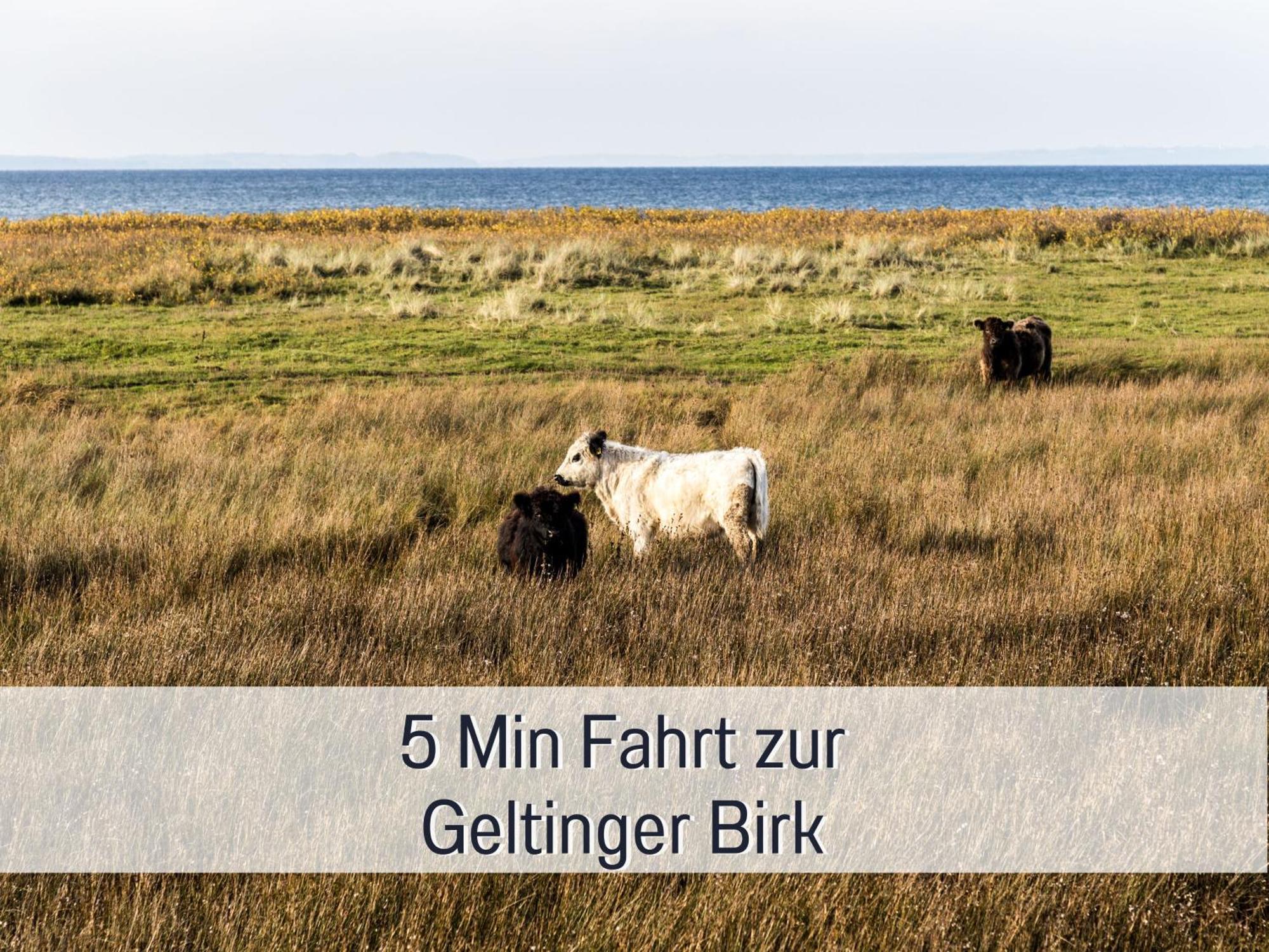 Ferienhaus Toepferhaus - Strandnah, Haustierfreundlich, Optimal Fuer Workation, Kaminofen, Garten, Fuer Paare Und Alleinreisende Штайнберг Экстерьер фото