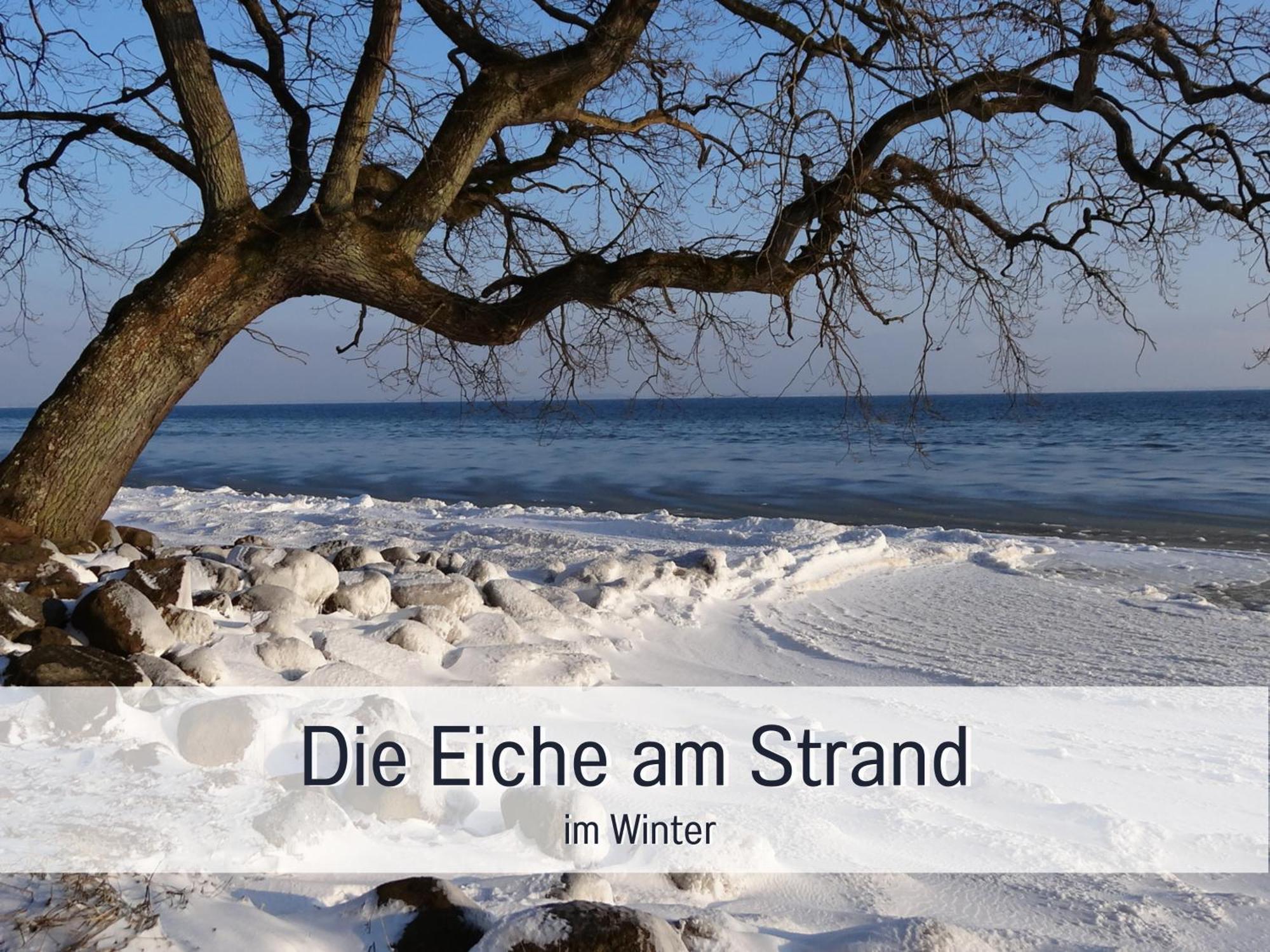 Ferienhaus Toepferhaus - Strandnah, Haustierfreundlich, Optimal Fuer Workation, Kaminofen, Garten, Fuer Paare Und Alleinreisende Штайнберг Экстерьер фото